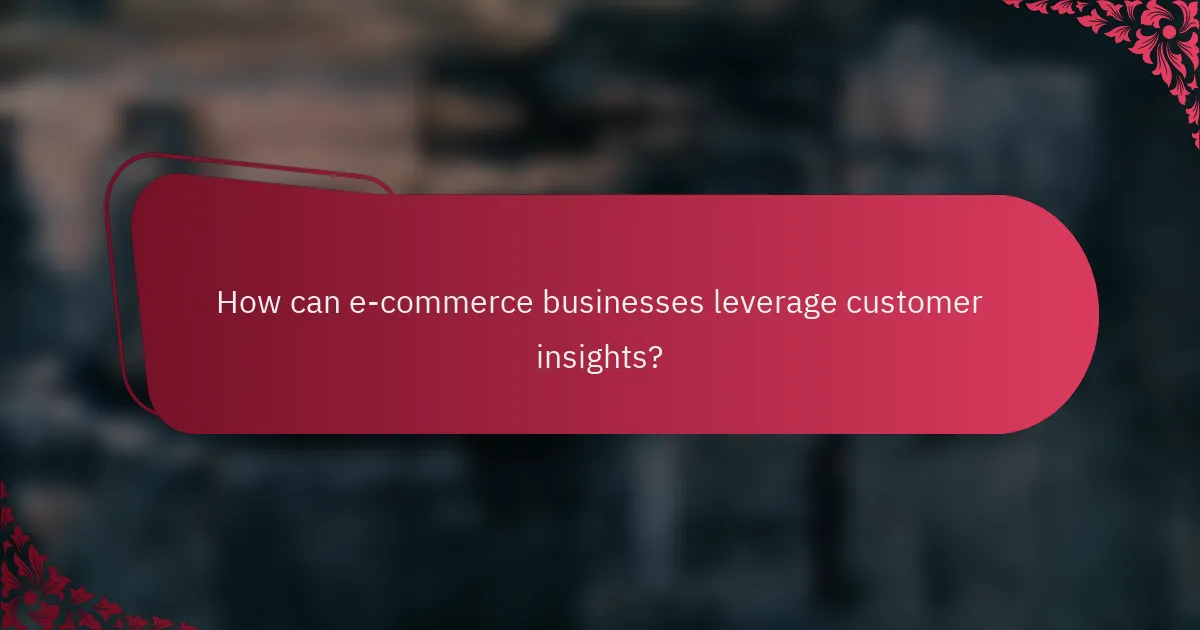 How can e-commerce businesses leverage customer insights?